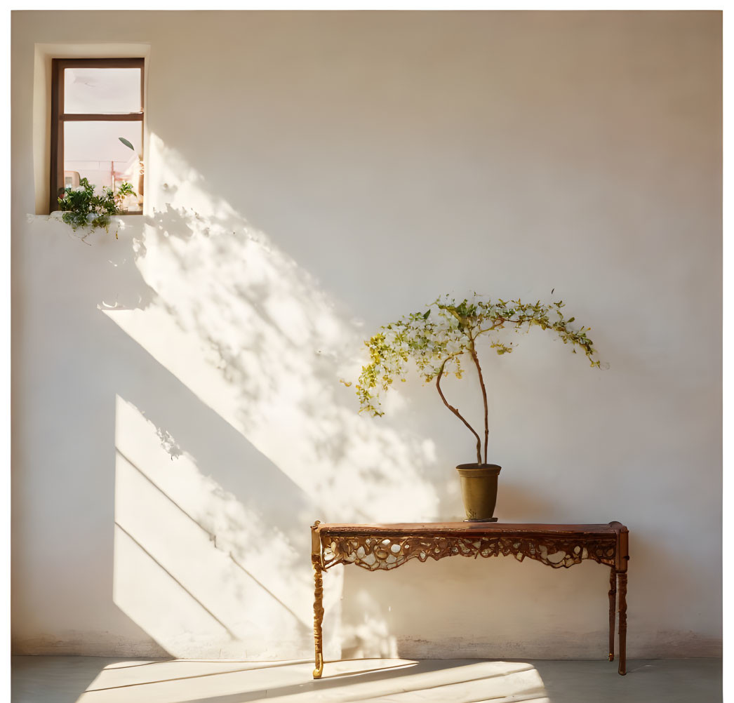 Natural light casting diagonal shadow on wall and floor with potted plant on wooden table