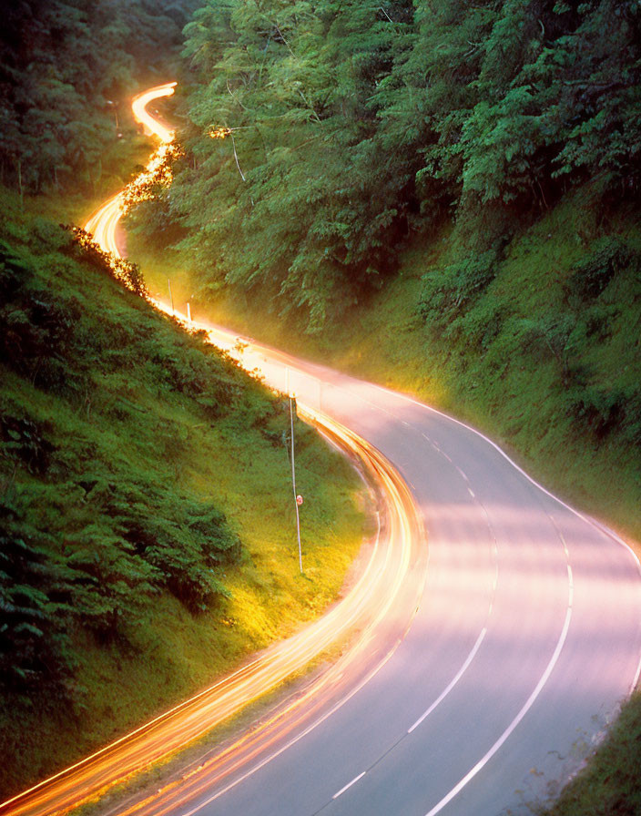 Twilight long exposure of winding road through lush forest