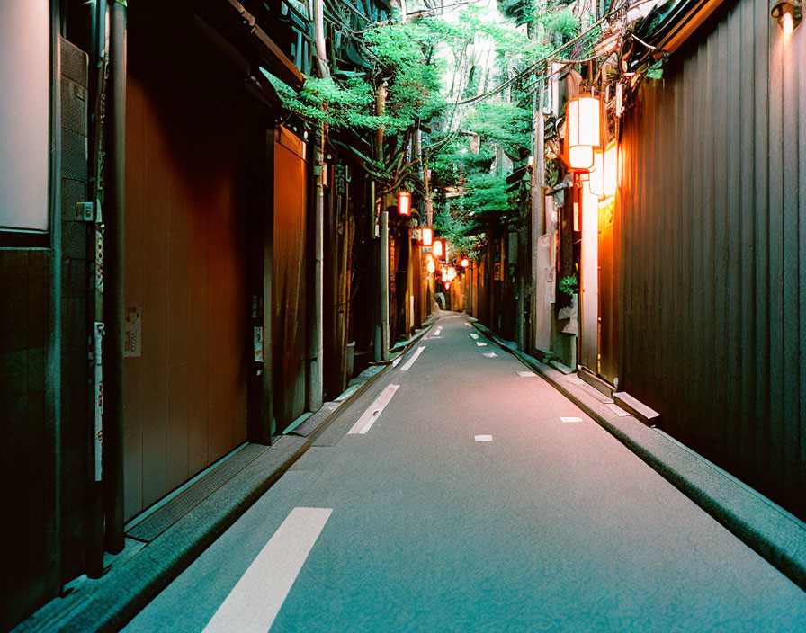 Tranquil urban alley with green plants and red lanterns