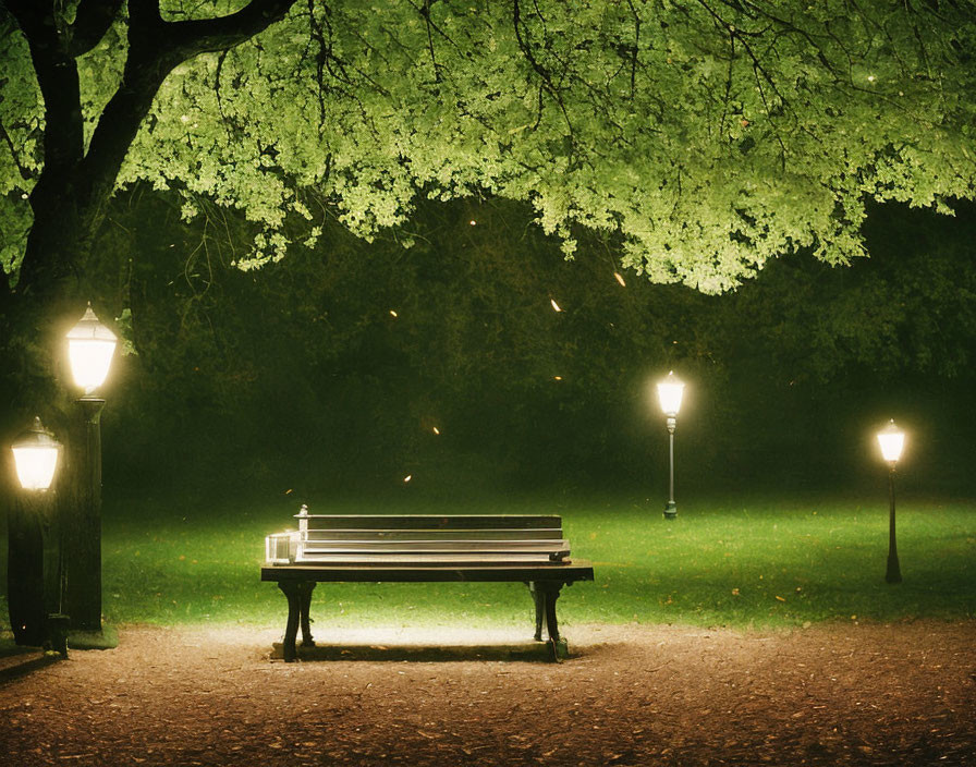 Tranquil night park scene with empty bench and glowing lampposts