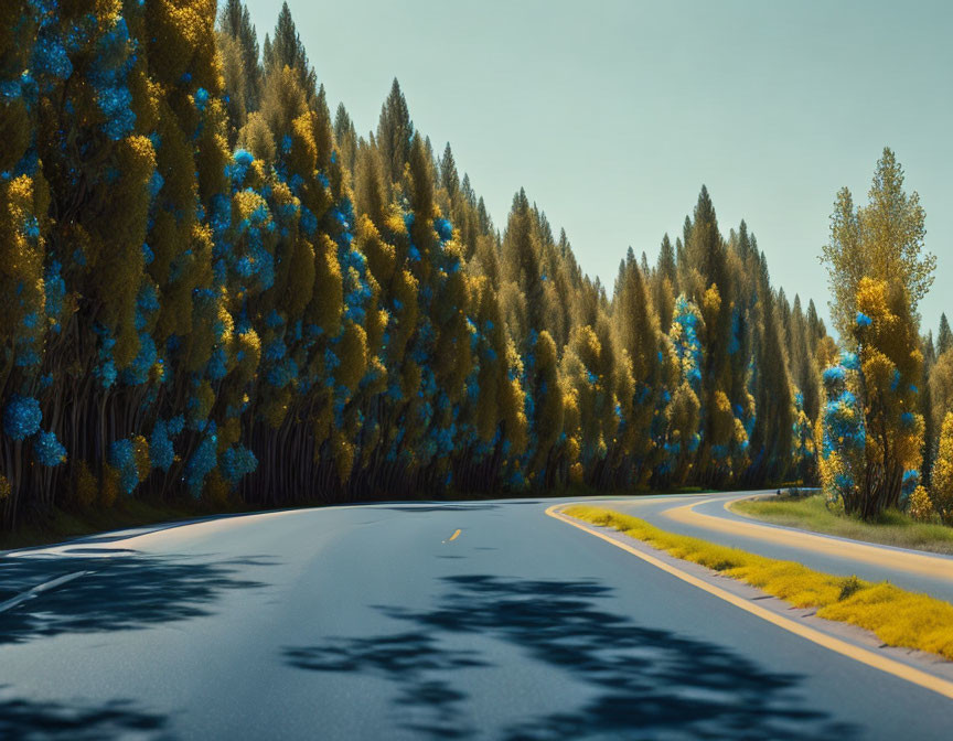 Scenic winding road through autumn forest under sunny sky