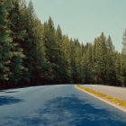 Scenic winding road through autumn forest under sunny sky