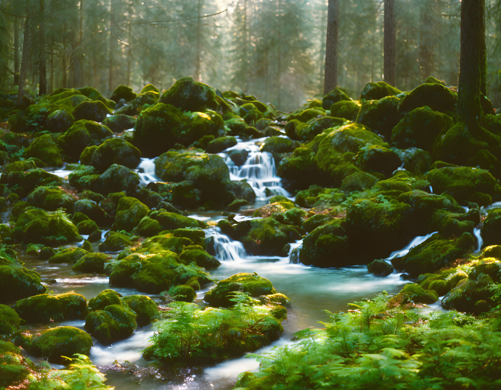 Tranquil forest stream flowing among moss-covered rocks and lush green trees