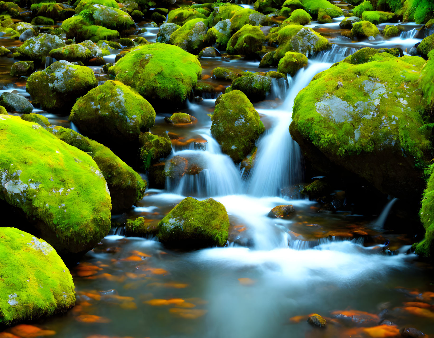 Tranquil stream over moss-covered rocks in lush green woodland