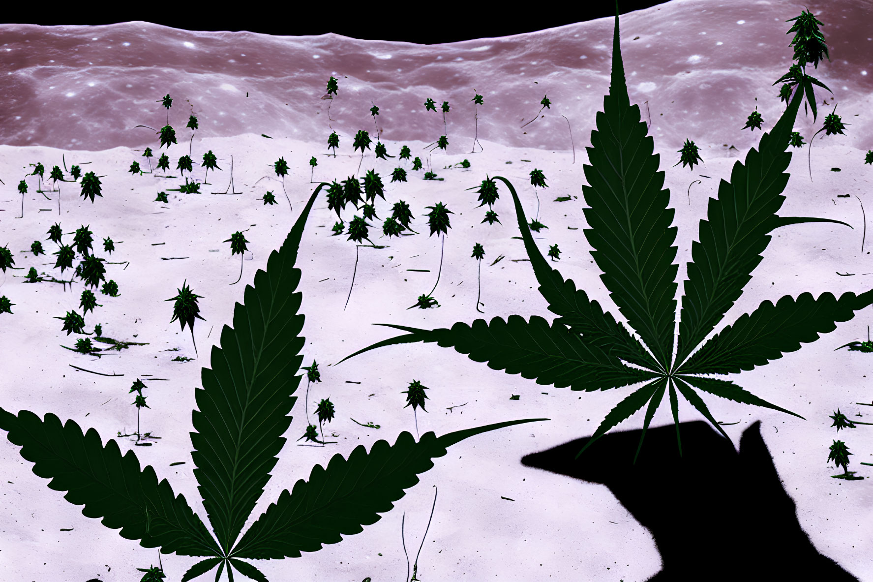 Surreal cannabis leaves on lunar landscape with starry sky