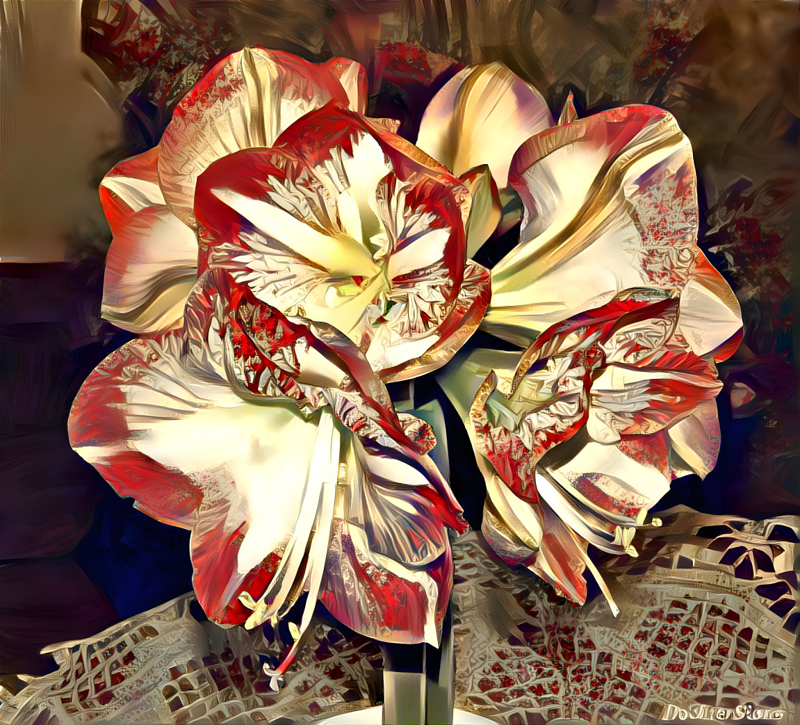 Amaryllis