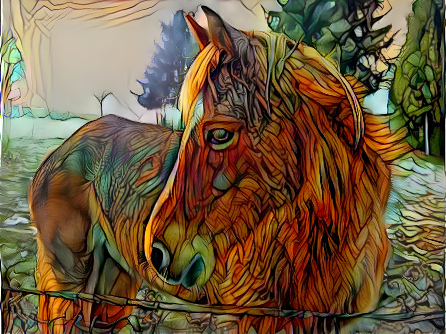 A horse