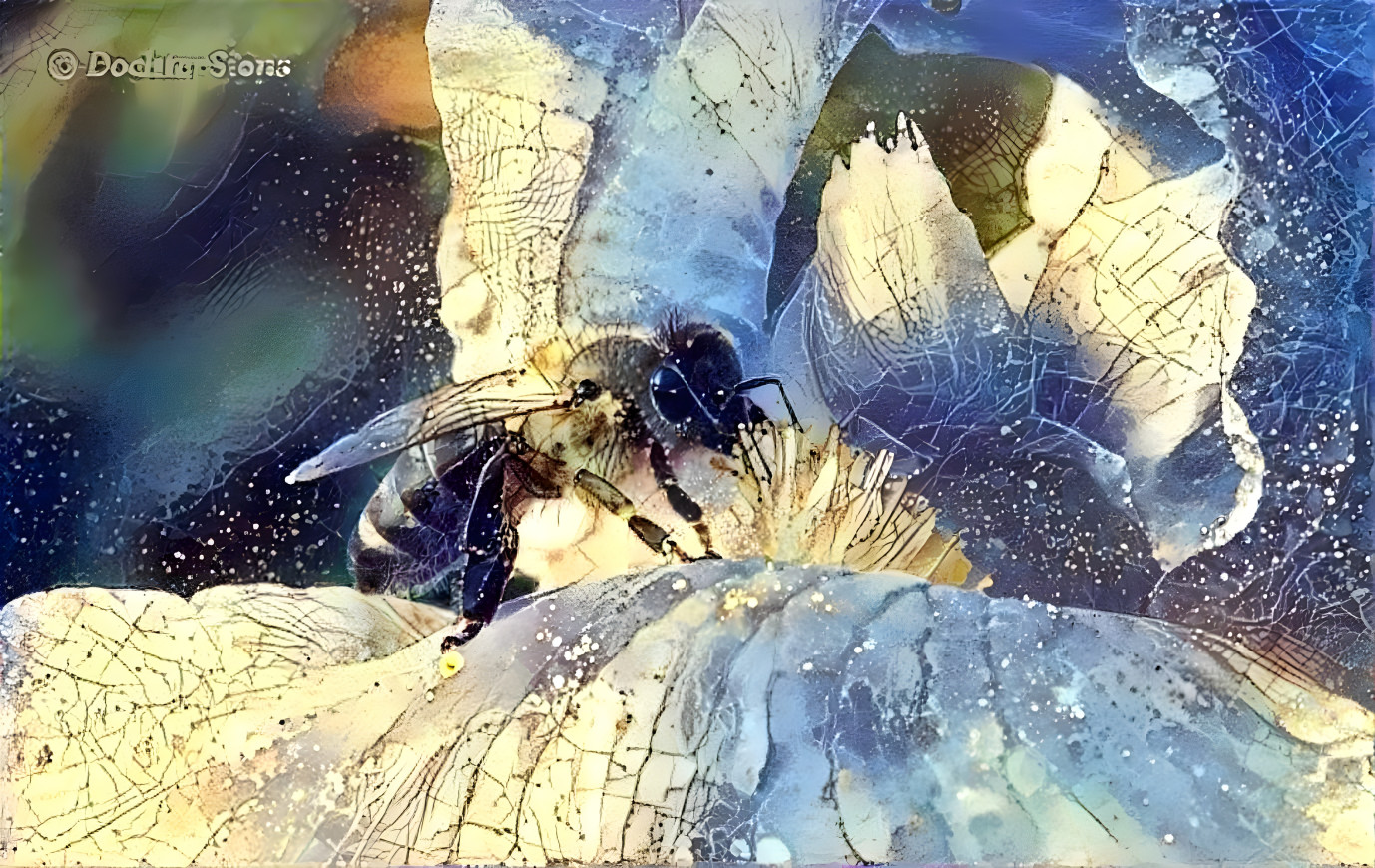 Honeybee on Iris flower photo out of our garden.