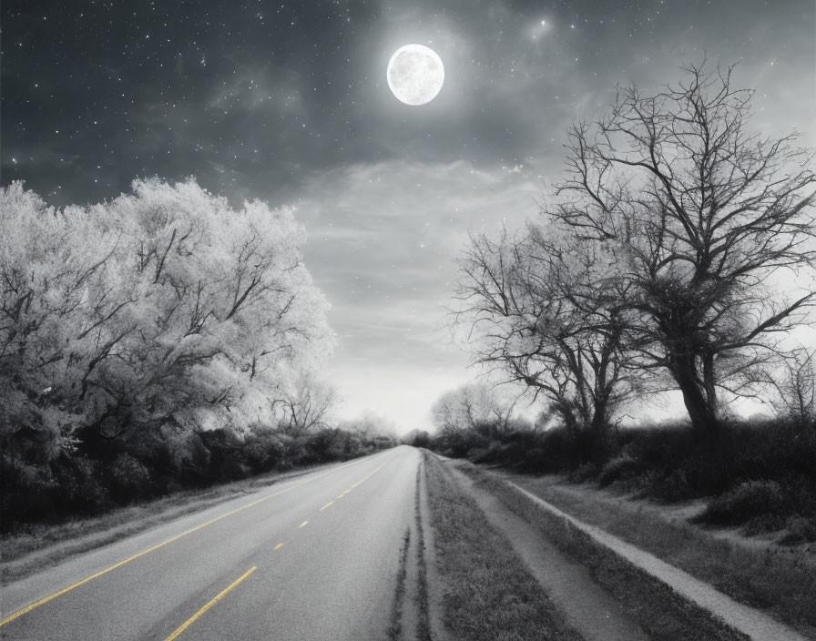 Full Moon Night Landscape with Deserted Road and Trees