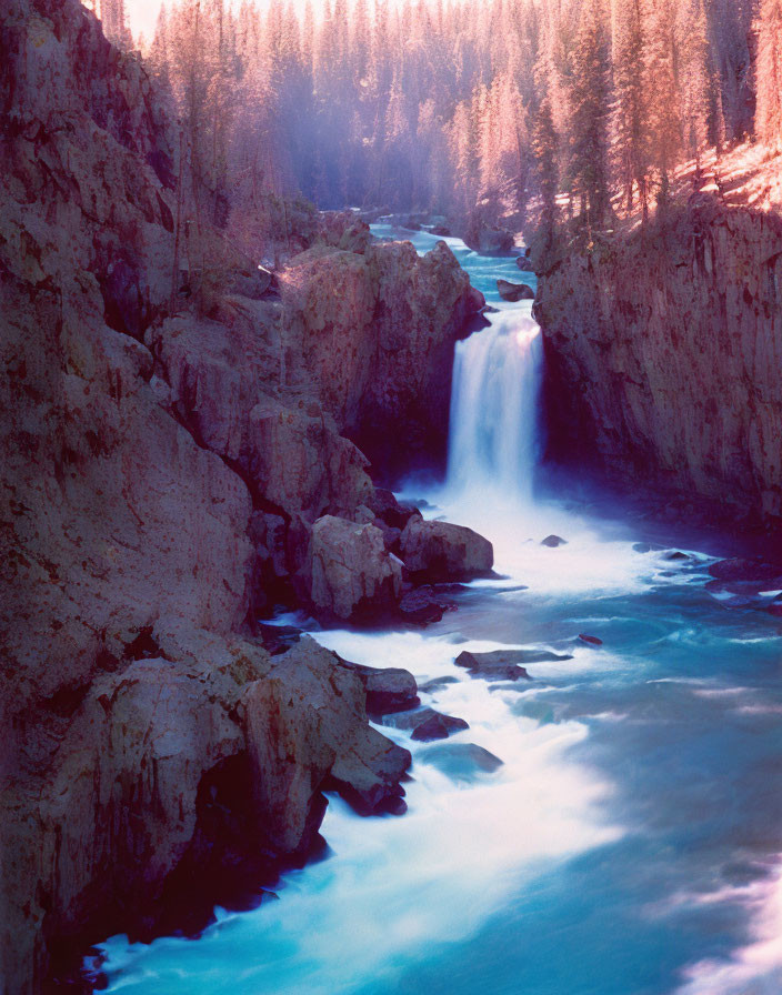 Tranquil waterfall cascading down rugged cliffs into river amidst evergreen forest.