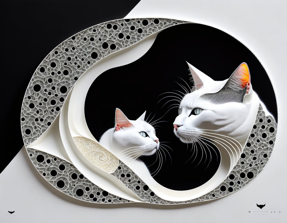 Two white cats in yin-yang symbol on black and white background