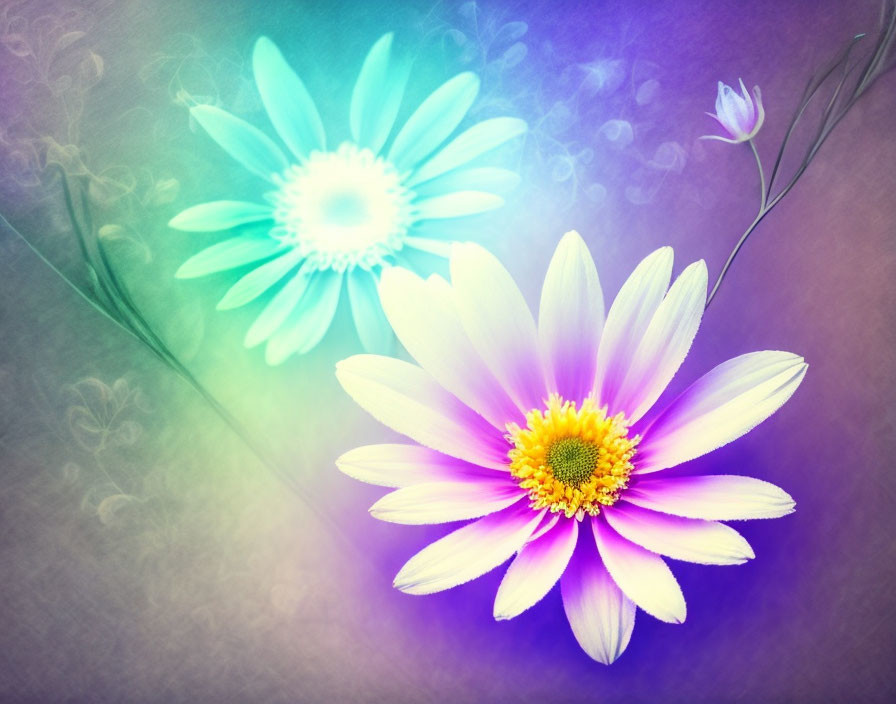 Colorful digital artwork: Two vibrant daisy-like flowers on purple and teal background