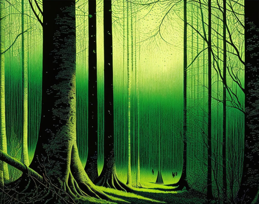 Lush Green Forest with Slender Tree Trunks