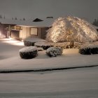 Snow-covered houses and illuminated trees in a cozy winter scene