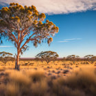 Serene landscape with prominent tree and sunlight on foliage