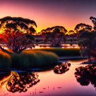 Tranquil lake sunset with tree silhouettes and reflections