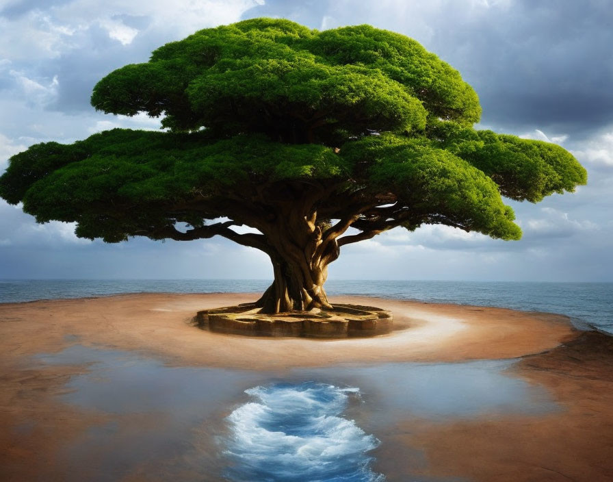 Majestic lush green tree on sandy islet by serene water