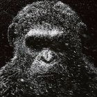 Detailed Portrait of Pensive Gorilla Against Dark Background