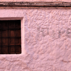 Child with vine mural beside barred window on pink wall