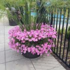 Purple and Pink Flower Bouquet with Daisy in Clear Vase Outdoors