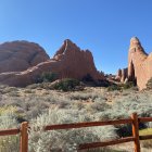 Fantastical landscape with crystal-like mountains and diverse succulents