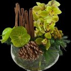 Colorful Orchid Bouquet with Green, Purple, and Brown Shades