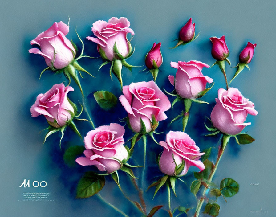 Pink Roses Collection on Blue Textured Background