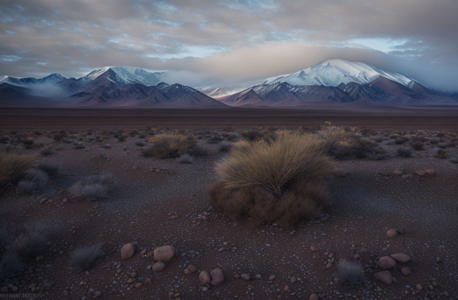 Snow-capped mountains, clear sky, desert terrain with shrubs