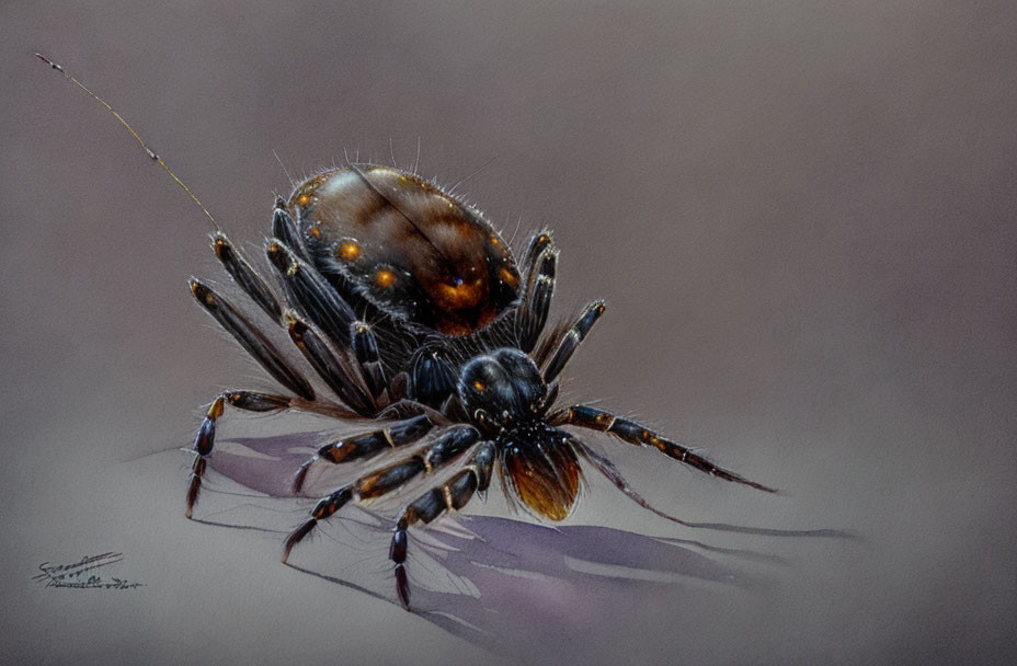 Detailed painting of glossy spider with slender legs on soft-focus background