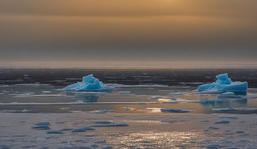 Sunlit Icebergs in Tranquil Icy Sea