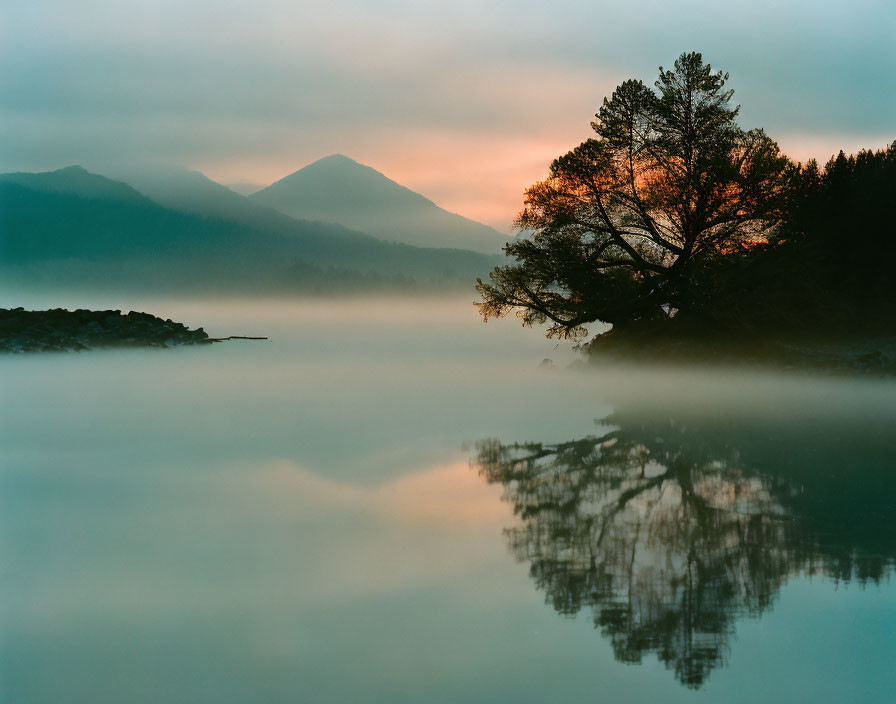 Serene sunrise scene: misty lake, tree on island, reflected mountains