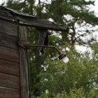 Dusty lightbulb hanging from corroded fixture in foliage