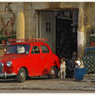 Colorful vintage cars and dogs in a street scene.