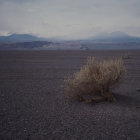 Snow-capped mountains, clear sky, desert terrain with shrubs