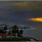 Scenic coastal city sunset with palm tree silhouettes