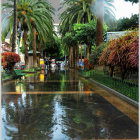 Tranquil palm tree-lined pathway over reflective water at sunrise or sunset