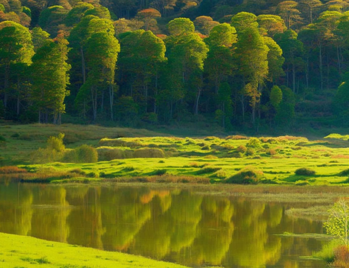 Tranquil lake and autumn forest under warm sunlight