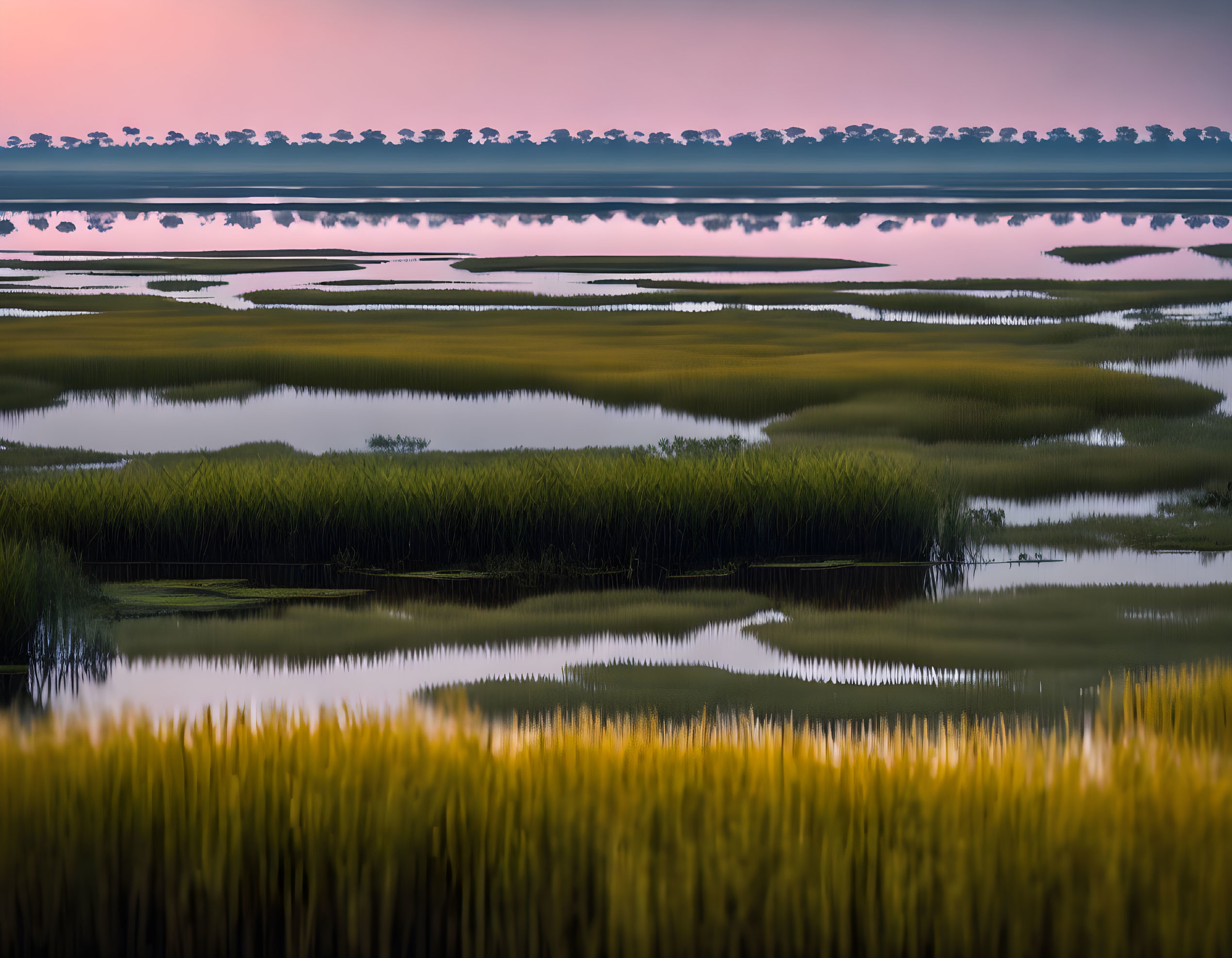 Tranquil wetlands at twilight: green grass, water channels, tree-lined horizon.