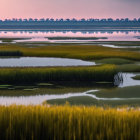 Tranquil wetlands at twilight: green grass, water channels, tree-lined horizon.