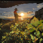 Person in hat gazes at sunset in lush landscape with sun and darkening sky