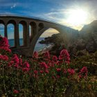 Stone arch bridge over calm sea at sunset with blooming flowers