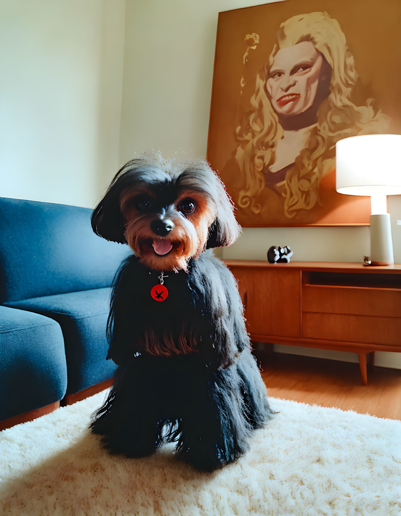 Small Black and Tan Dog on White Rug in Modern Room