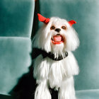 Fluffy White Dog in Red Devil Horns on Green Chair