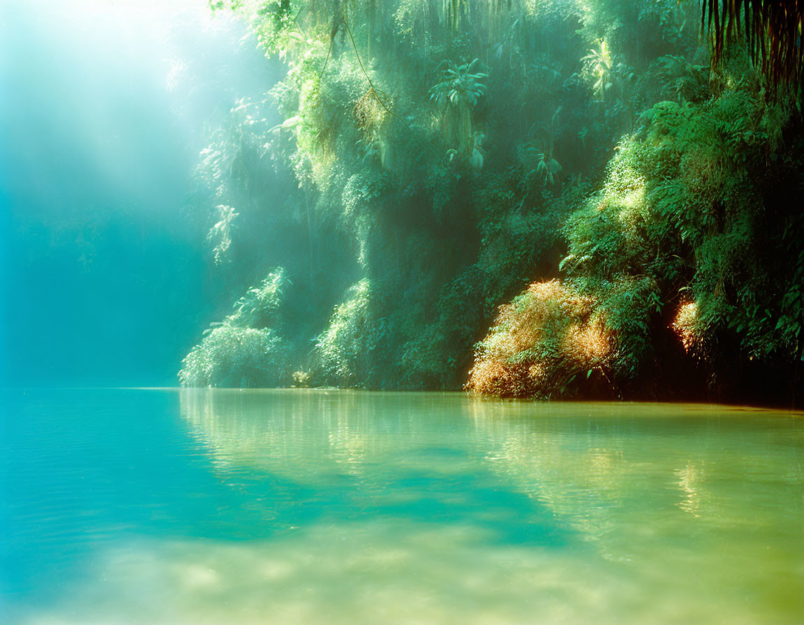 Tranquil turquoise river surrounded by lush green tropical foliage