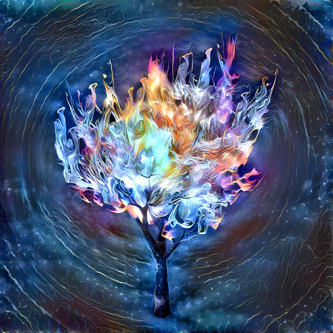 Burning Bush