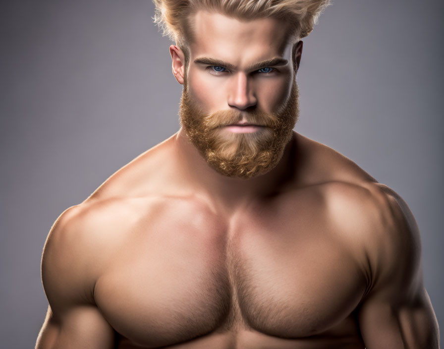 Muscular man with blond beard and hair, blue eyes, prominent physique on grey background