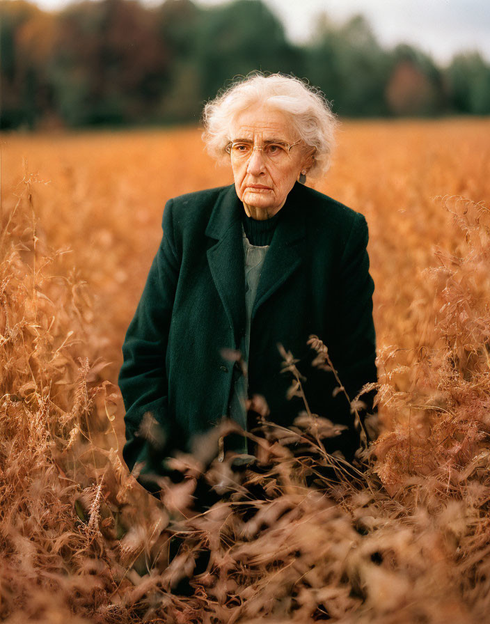 Elderly person with white hair in autumn field with brown grass and trees