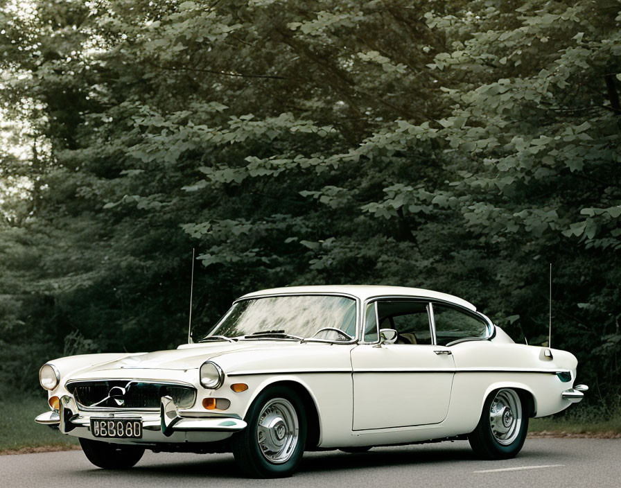 Vintage white car parked by lush green trees