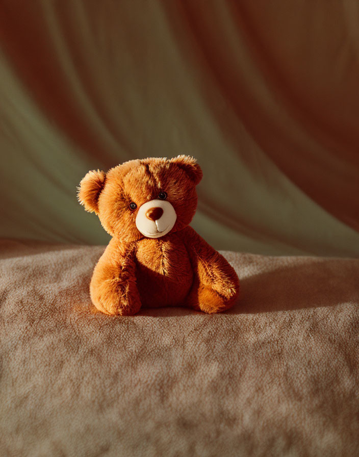 Brown Teddy Bear in Warm Illumination on Beige Background