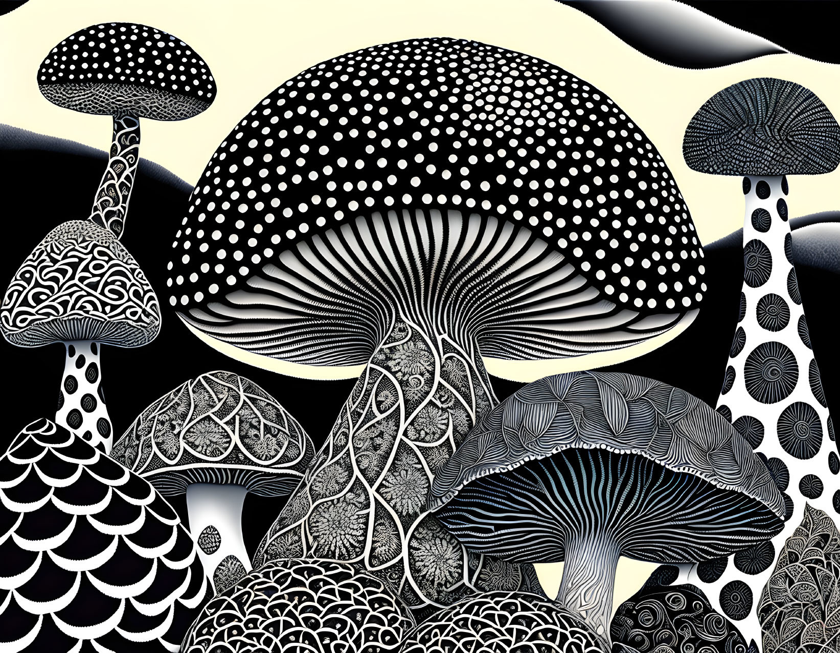 Detailed black and white mushroom illustration on contrasting background